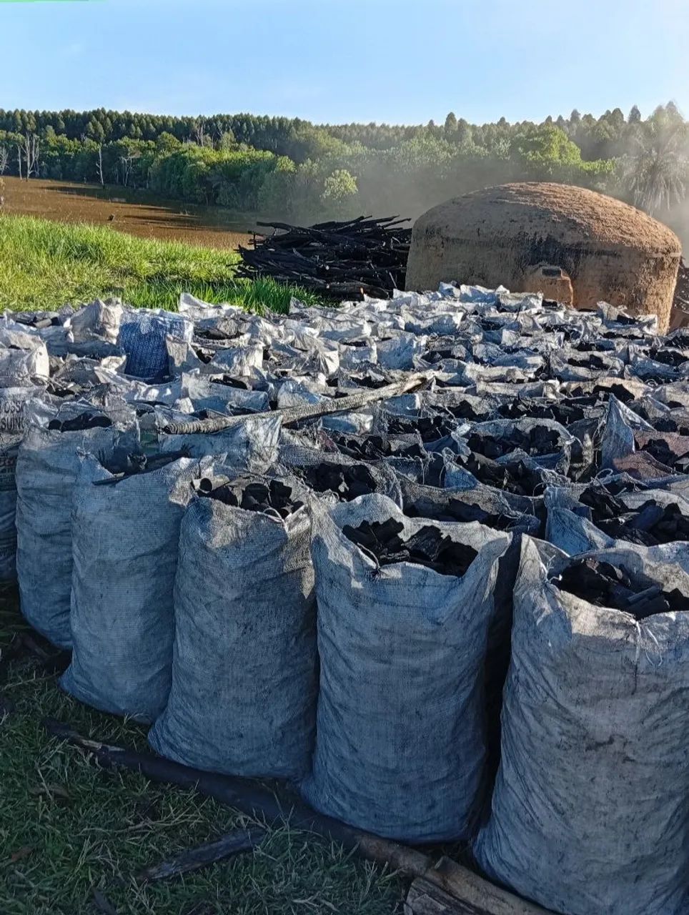 Venda carvão 