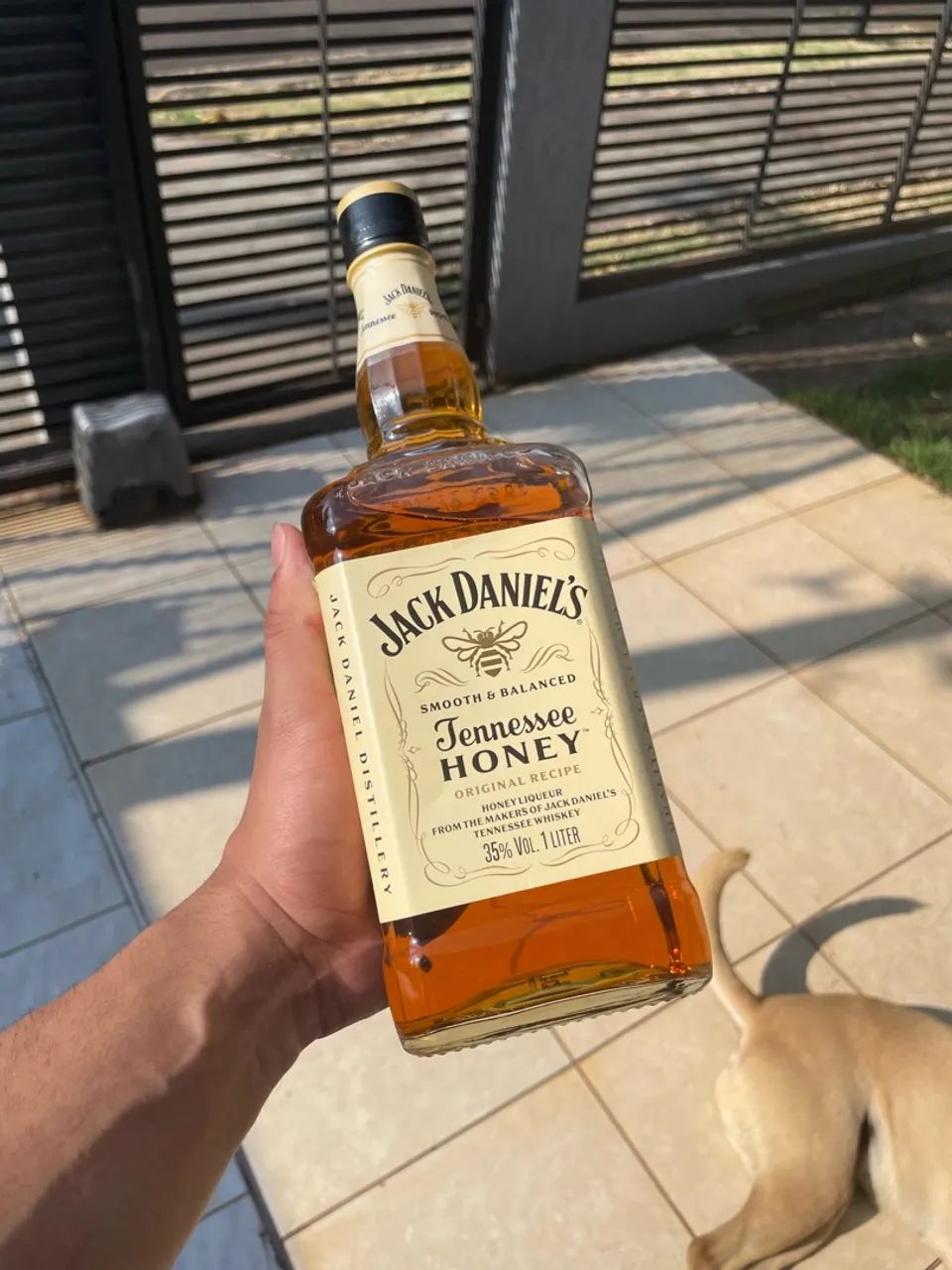 Jack de mel? - Foto 2