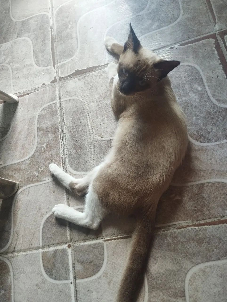 DOAÇÃO  - Foto 4