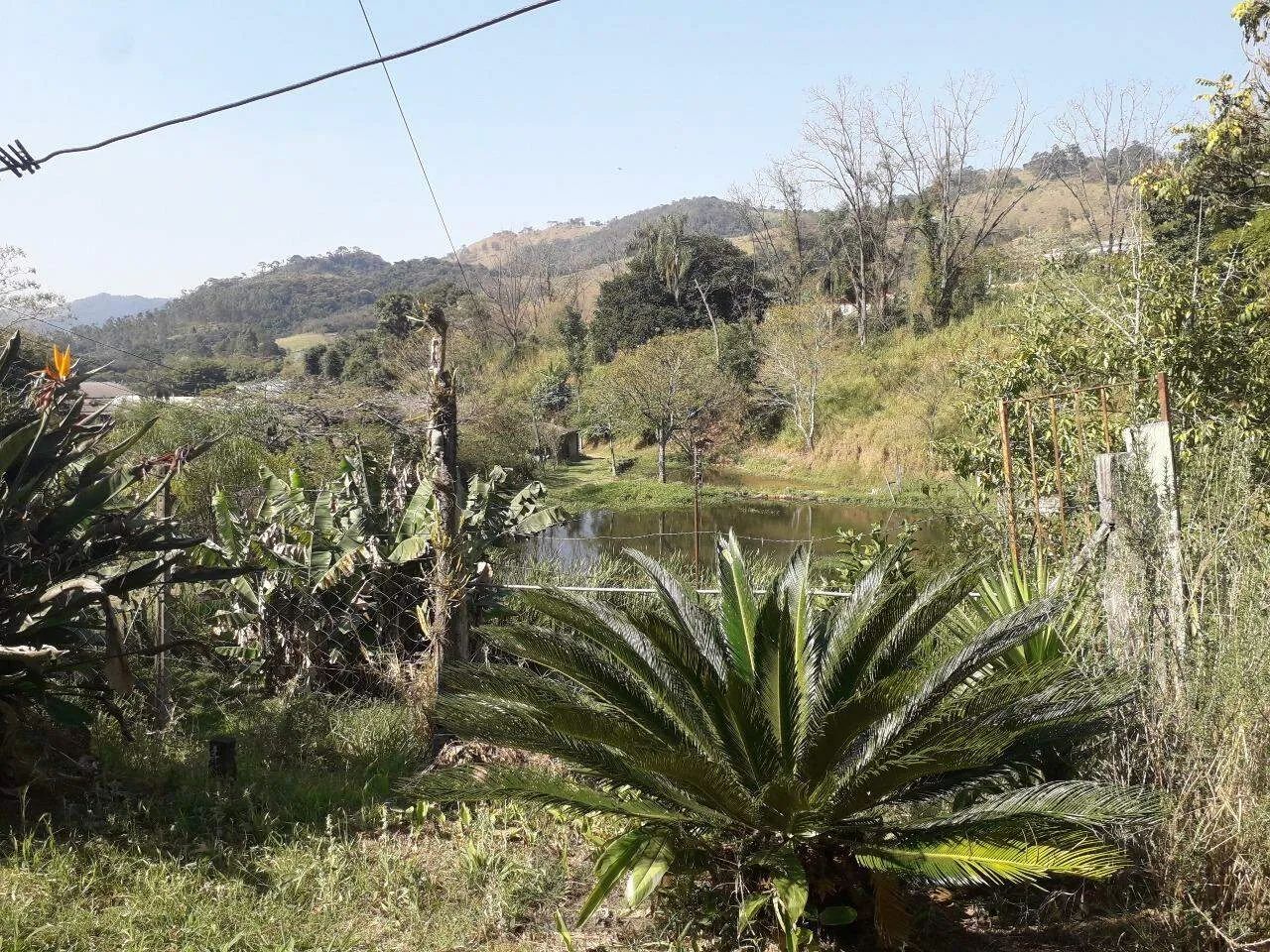 Sítio à Venda - Bairro Boa Vereda, Amparo - 367m2 - 3 Quartos