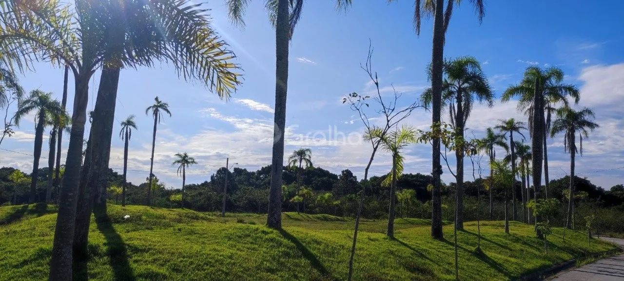 Terreno para Venda em Florianópolis, Vargem Grande - Foto 5