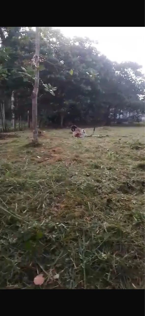 Terreno para sítio com Igarapé em Benevides  - Foto 3