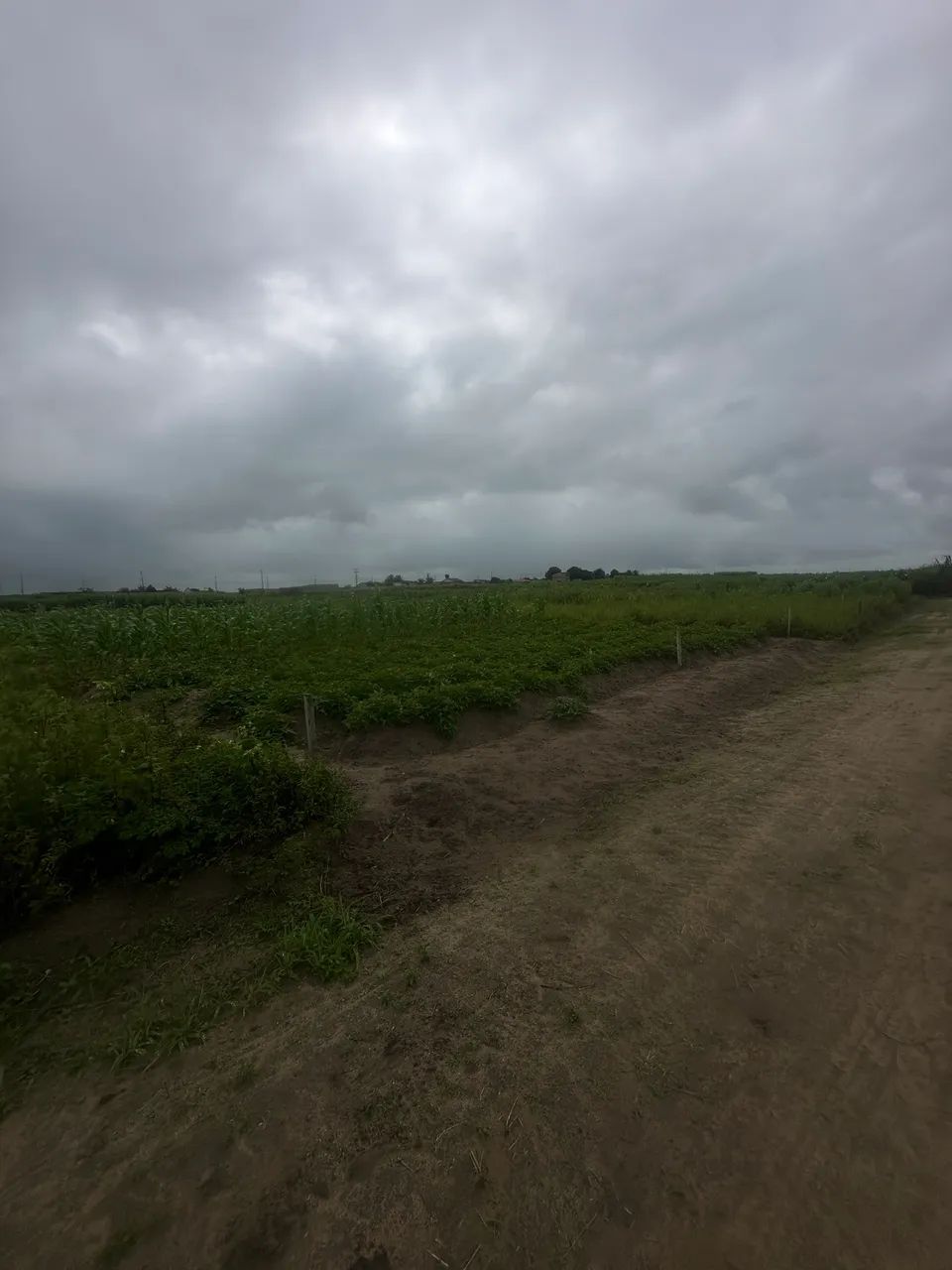 Lotes em junqueiro 15 mil OPORTUNIDADE!! - Foto 5