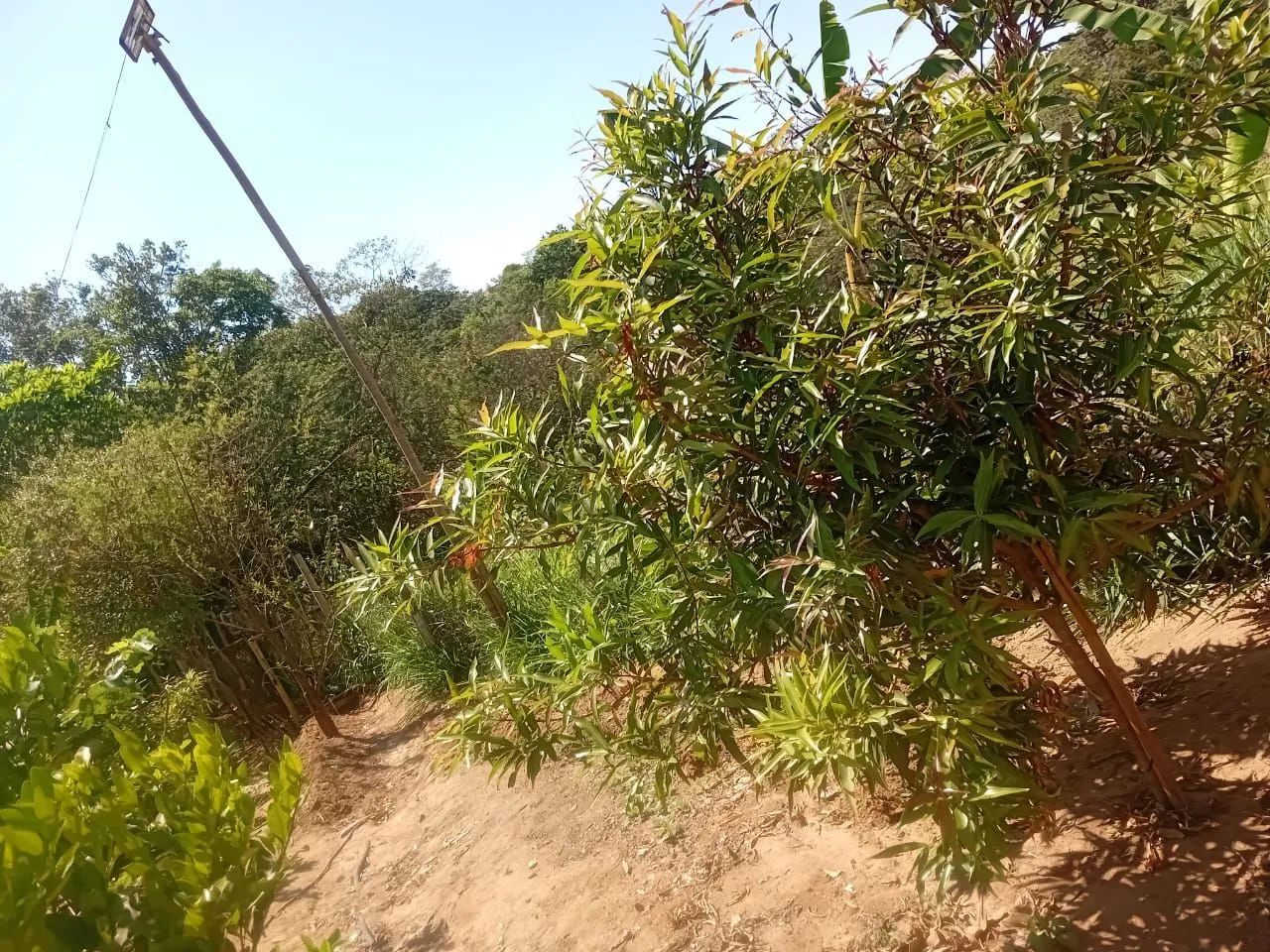 Chacara em corrego das pedras - Foto 2