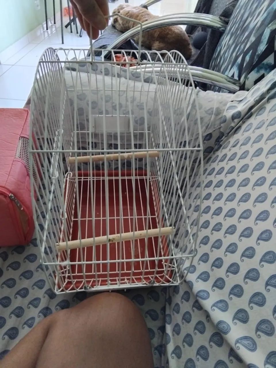 gaiola  bolsa de transporte 