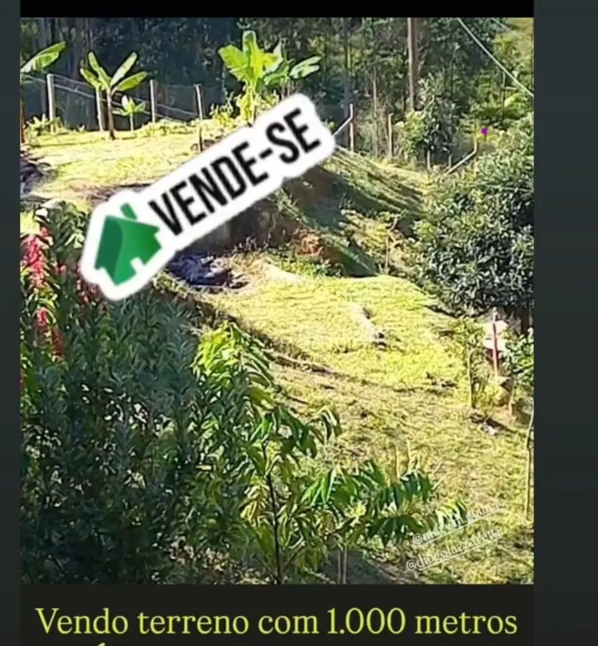 Foto - Águas Mornas - 