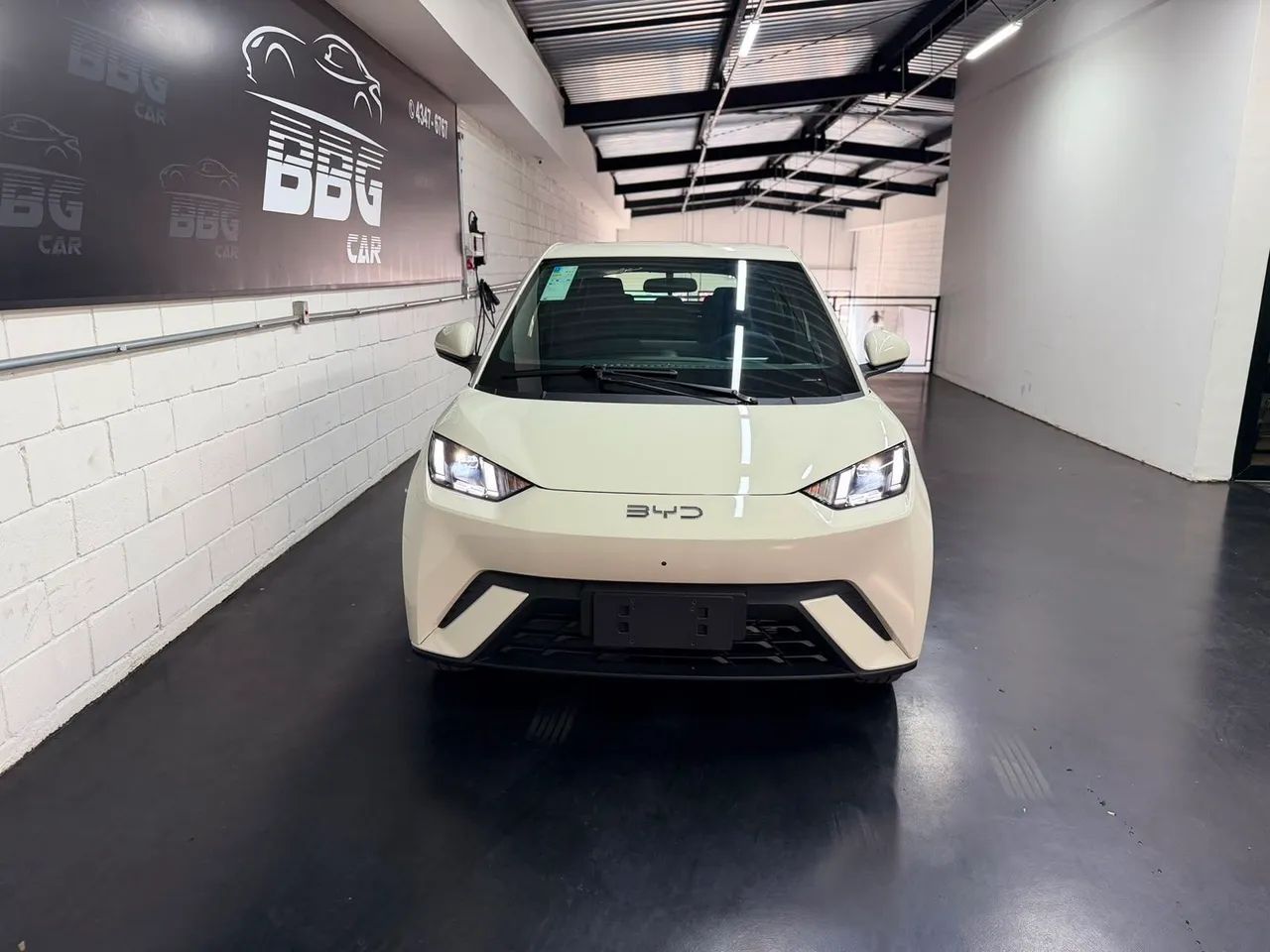 BYD Dolphin GS (Elétrico) 2027 - Foto 2