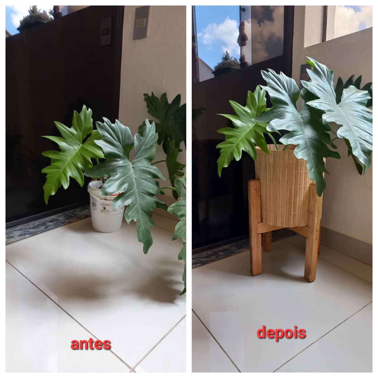 Suporte + cachepot grande