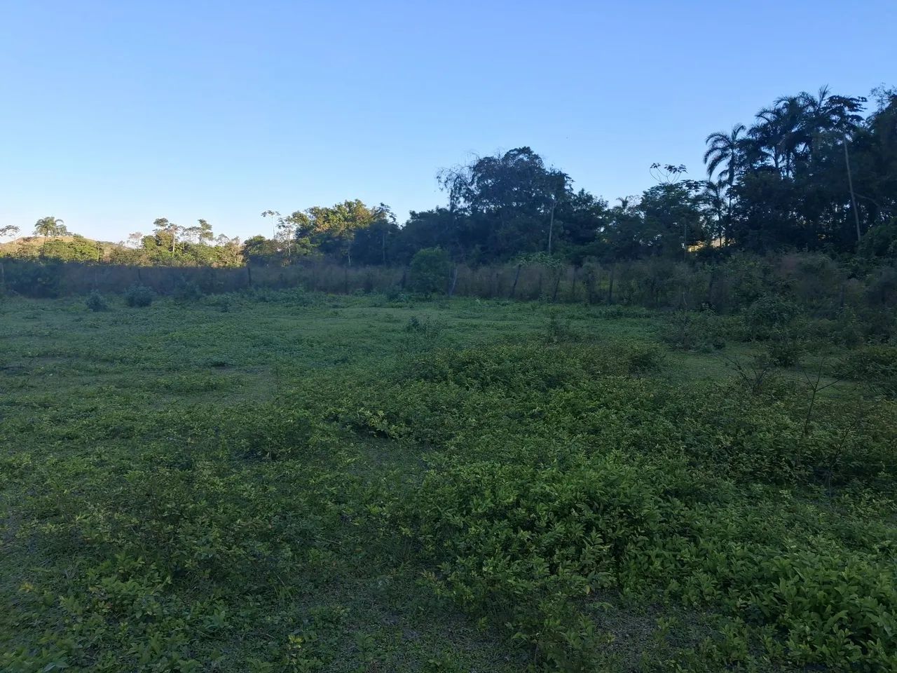 Mini sitio em Pau Grande - Foto 2