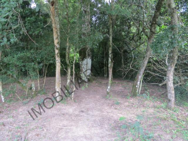 REF 240 Chácara 6000 m², açude com peixes, mata nativa, excelente casa, Imobiliária Paletó - Foto 16