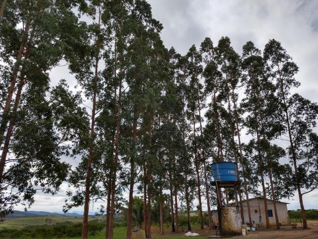 Excelente fazenda de pecuária e café na BR 101, - Foto 18