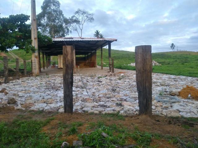 Excelente fazenda de pecuária e café na BR 101, - Foto 3