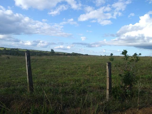 Excelente fazenda de pecuária e café na BR 101, - Foto 5