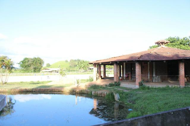 Lindo Sitio em Camboriú - Foto 12