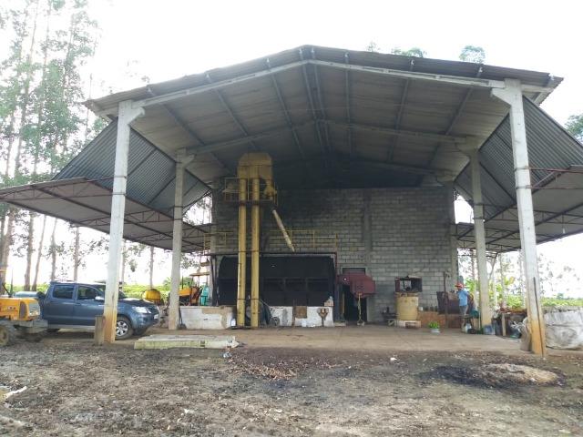 Excelente fazenda de pecuária e café na BR 101, - Foto 12