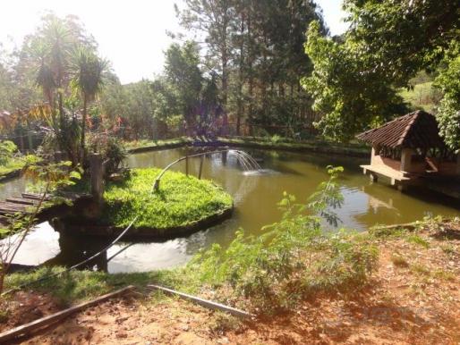 Chácara à venda em Lomba grande, Novo hamburgo cod:9268 - Foto 12