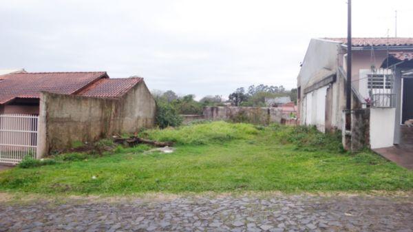 Terreno à venda em Feitoria, São leopoldo cod:8402