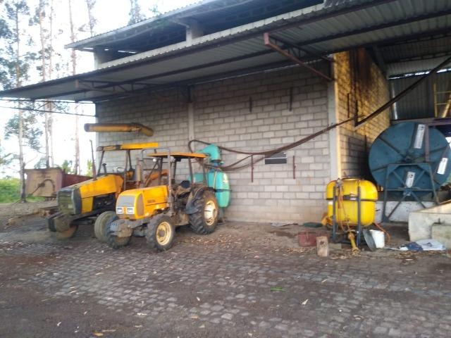 Excelente fazenda de pecuária e café na BR 101, - Foto 14