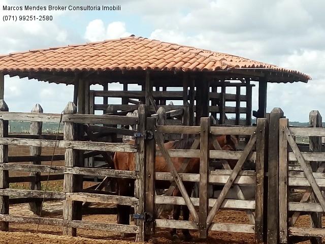Fazenda a venda em baixa grande - bahia / brasil. - Foto 10
