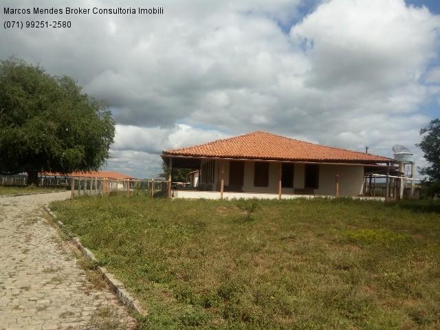Fazenda a venda em baixa grande - bahia / brasil.