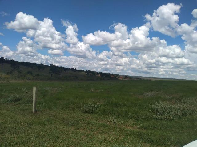Fazenda pecuária 320 alq. Mato Grosso do Sul - Foto 10