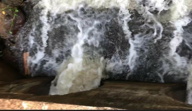 Chácara Pego imóvel muita água com cachoeira - Foto 11