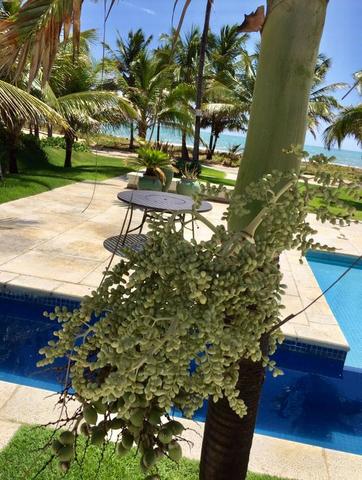 Luxuosa casa duplex com mobília sofisticada á beira mar da reserva do paiva confira-E - Foto 11