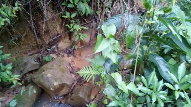 Chácara em Mairinque - Foto 10