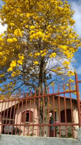Casinha Aconchegante - Foto 6