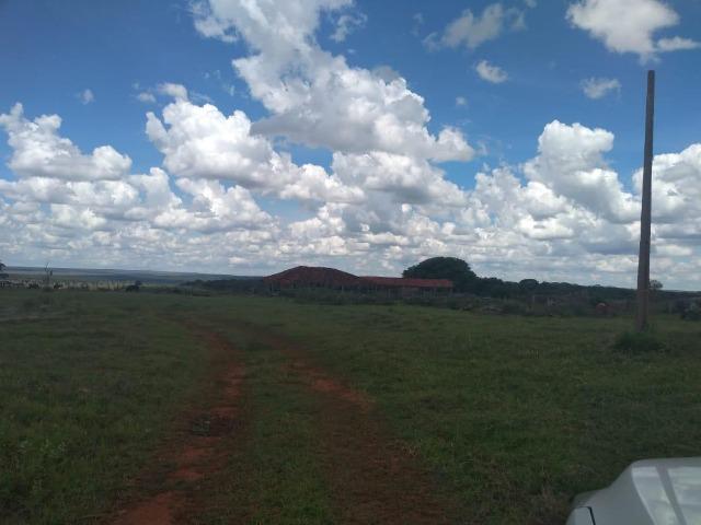 Fazenda pecuária 320 alq. Mato Grosso do Sul - Foto 8