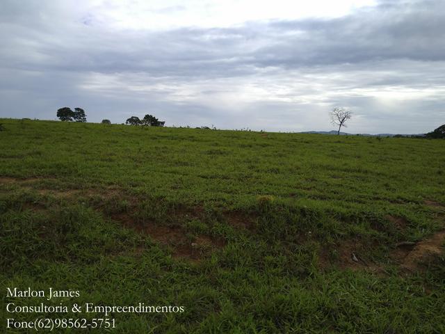 Fazenda em Americano do Brasil! - Foto 7