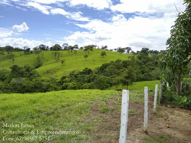 Fazenda em Americano do Brasil-Go! - Foto 7