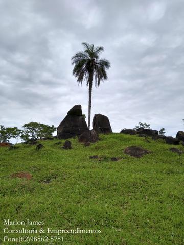 Fazenda em Americano do Brasil-Go! - Foto 12