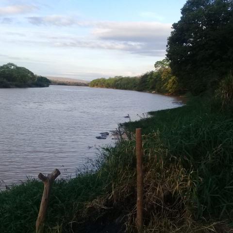 Chácara à venda em Zona rural, São gonçalo do abaeté cod:679 - Foto 4