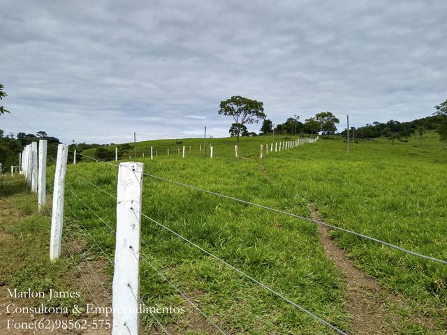 Fazenda em Americano do Brasil-Go! - Foto 11