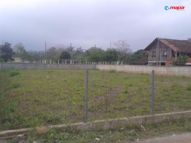 Terreno para alugar em Araponguinhas, Timbó cod:2557 - Foto 6