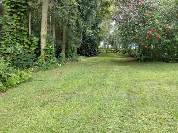 Sítio 4,1 hectares - volta do anacleto - montenegro - rs - Foto 3