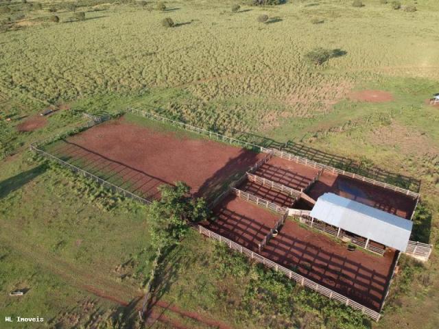Fazenda para Venda em Gurupi, Área Rural de Gurupi, 3 dormitórios, 2 banheiros, 5 vagas - Foto 3