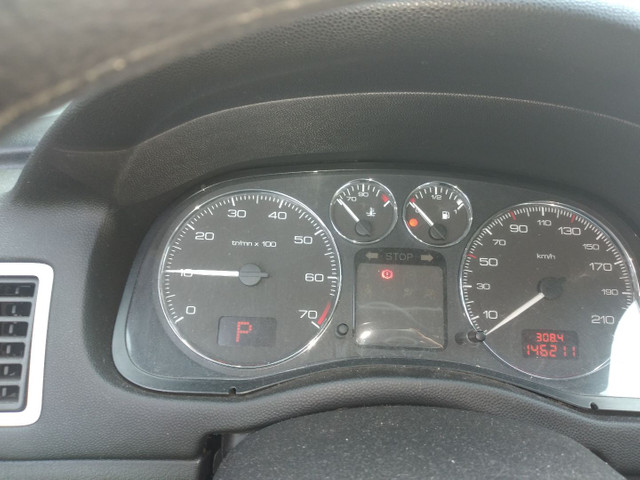 Peugeot 307 feline - Foto 10