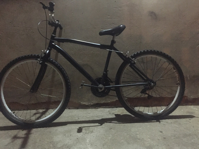 mizuno mountain bike