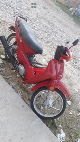 PHOENIX 50CC