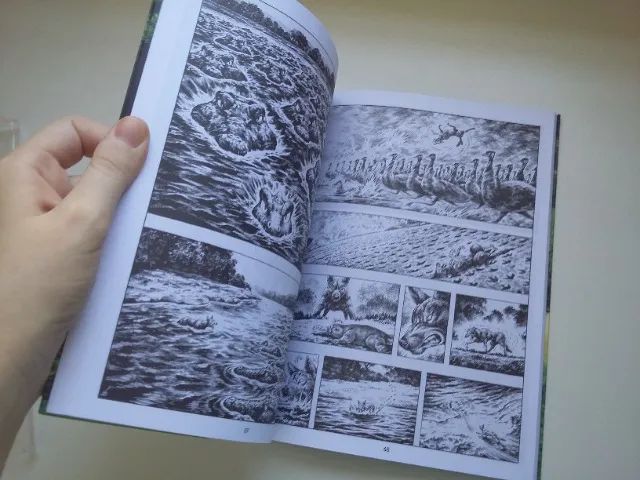 Gon desce o rio - Masashi Tanaka - Foto 2