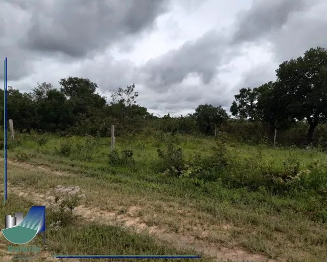 Fazenda com 4.000 hectares à venda Chapada Gaúcha - MG - Terrenos ...