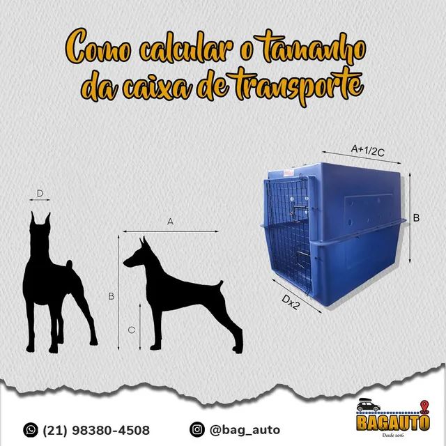Locação de Caixa de Transporte para Cachorros (viagem Rodoviária) - Foto 4