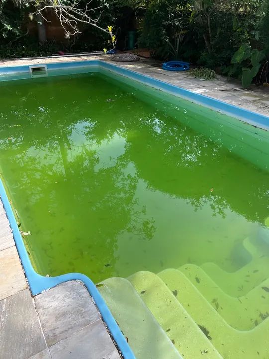 Limpeza e manutenção de piscinas (Piscineiro) - Foto 3