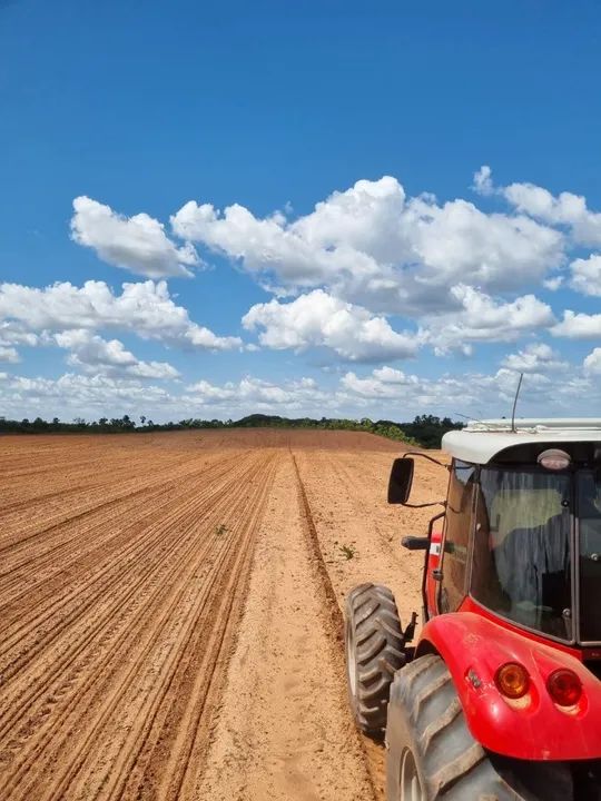 Fazenda Goiás Cavalcante 