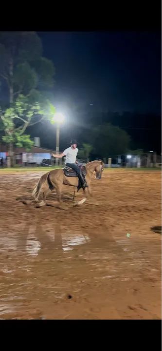 Égua Documentada, 4 anos, Craque! - Foto 2