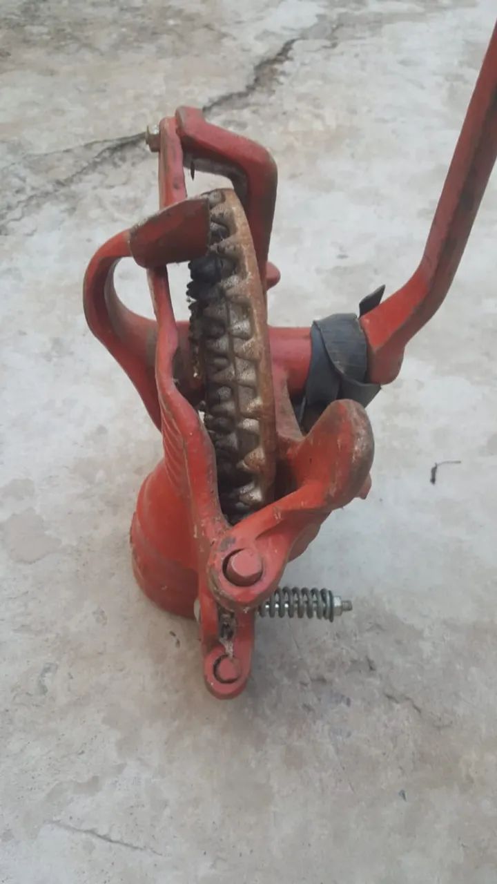 Debulhado de milho  - Foto 3