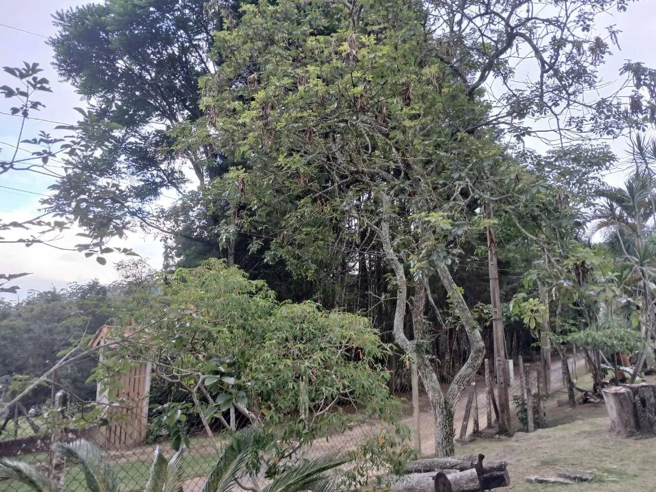 CHÁCARA EM SÃO ROQUE - TROCA COM IMÓVEL EM SANTO ANDRÉ - Foto 5