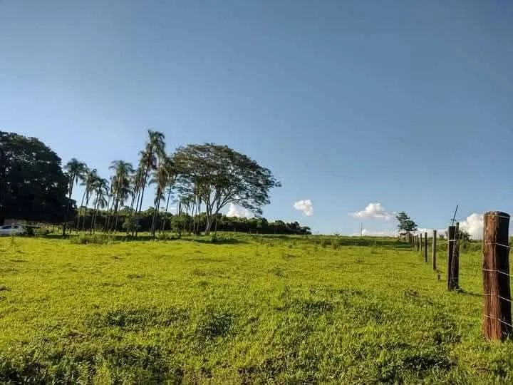 Vendo chácara de 7,5 alqueires a 17 km de Ituiutaba - Foto 10